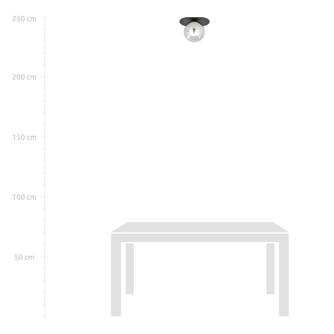 Plaza 1 ceiling lamp black/graphite