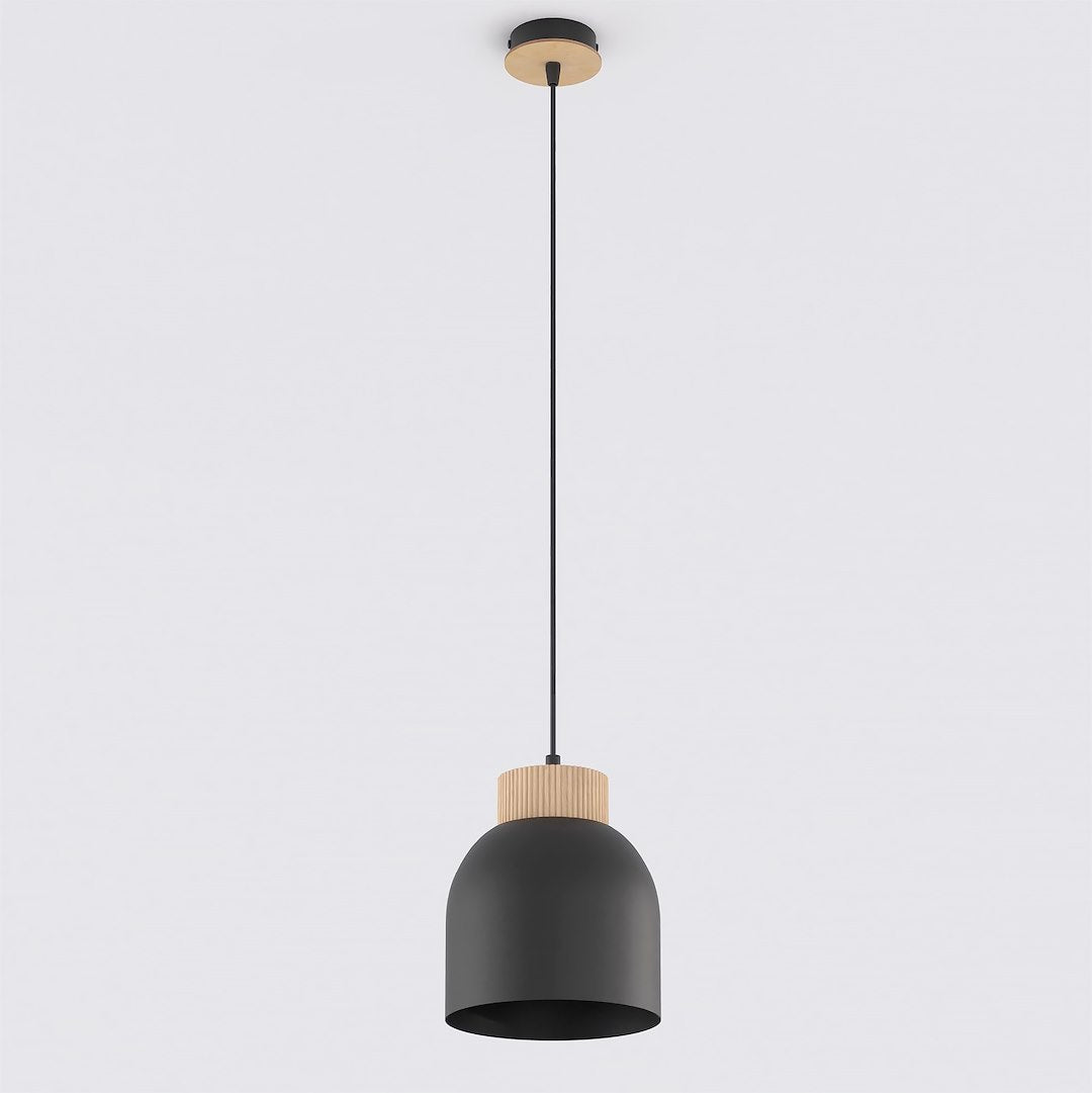 Vigo 1 pendant light black