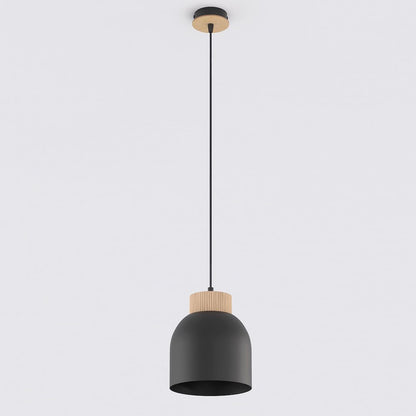 Vigo 1 pendant light black