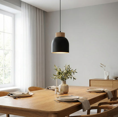 Vigo 1 pendant light black