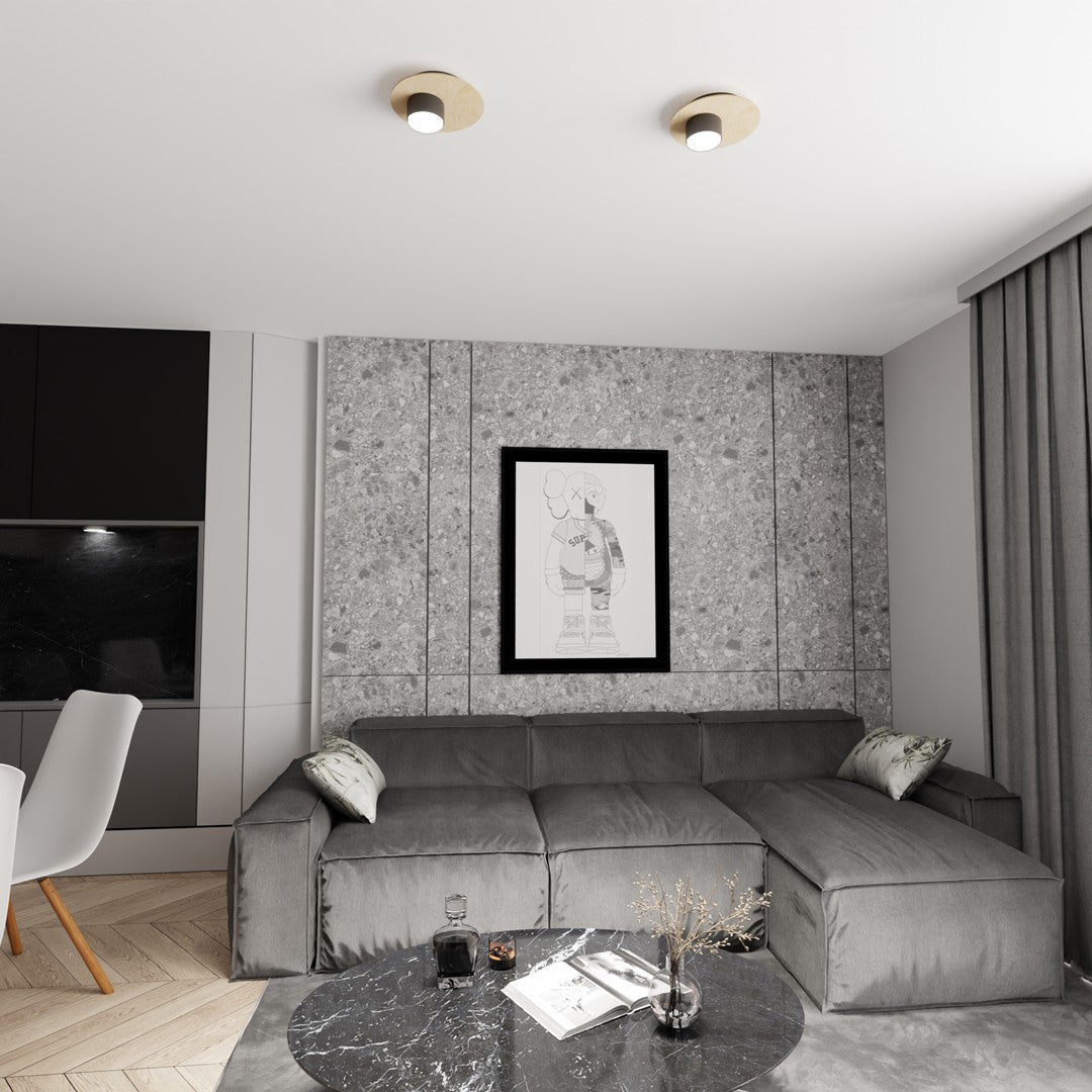 Pixo 1 ceiling lamp black
