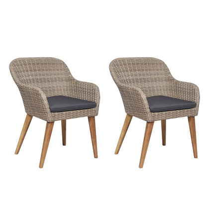 Have Stol 2 Stk. Polyrattan
